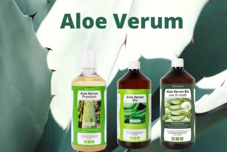 BANNER Aloe Verum e1625042056803