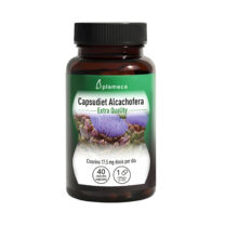 Extracto seco ALCACHOFERA