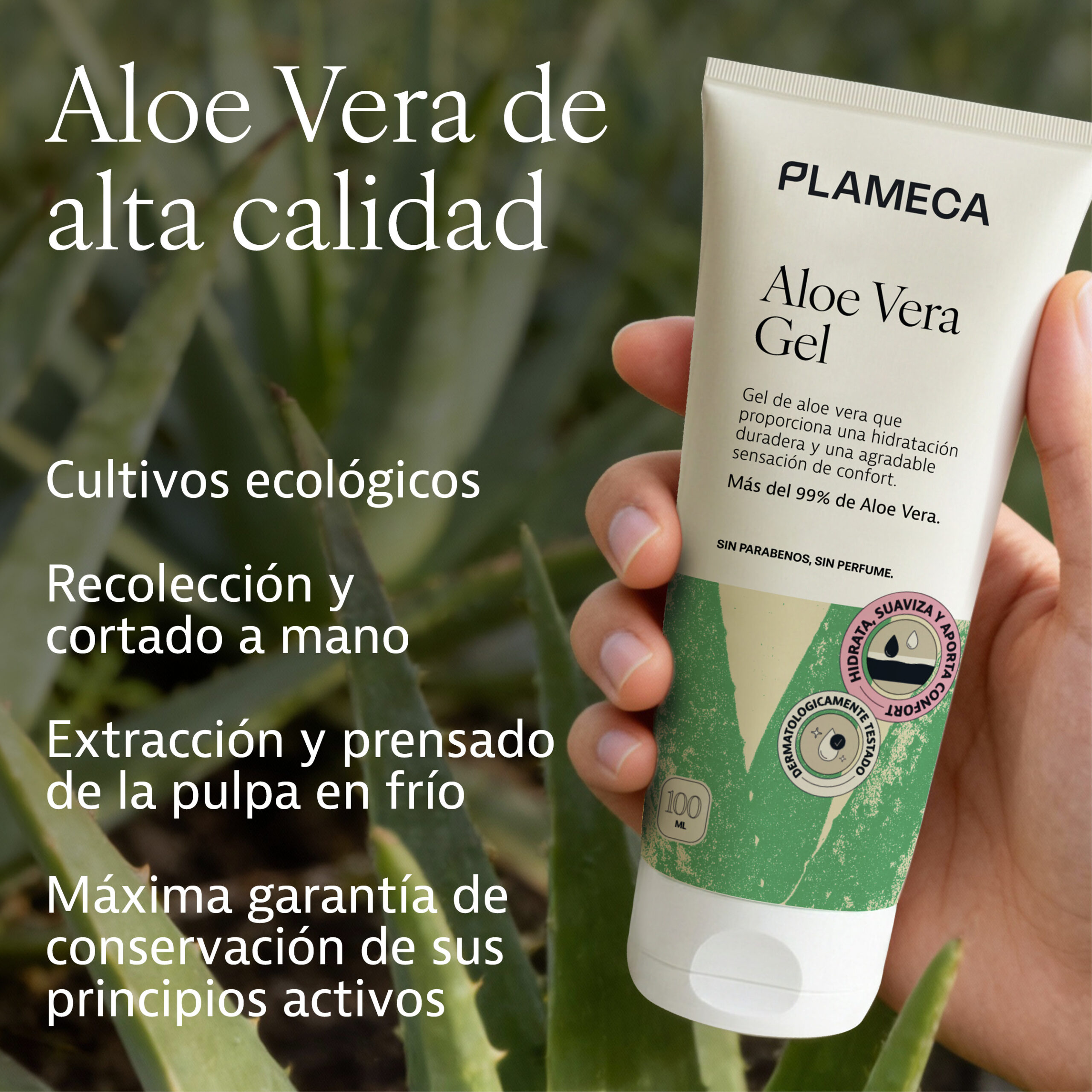 Aloe Vera Gel