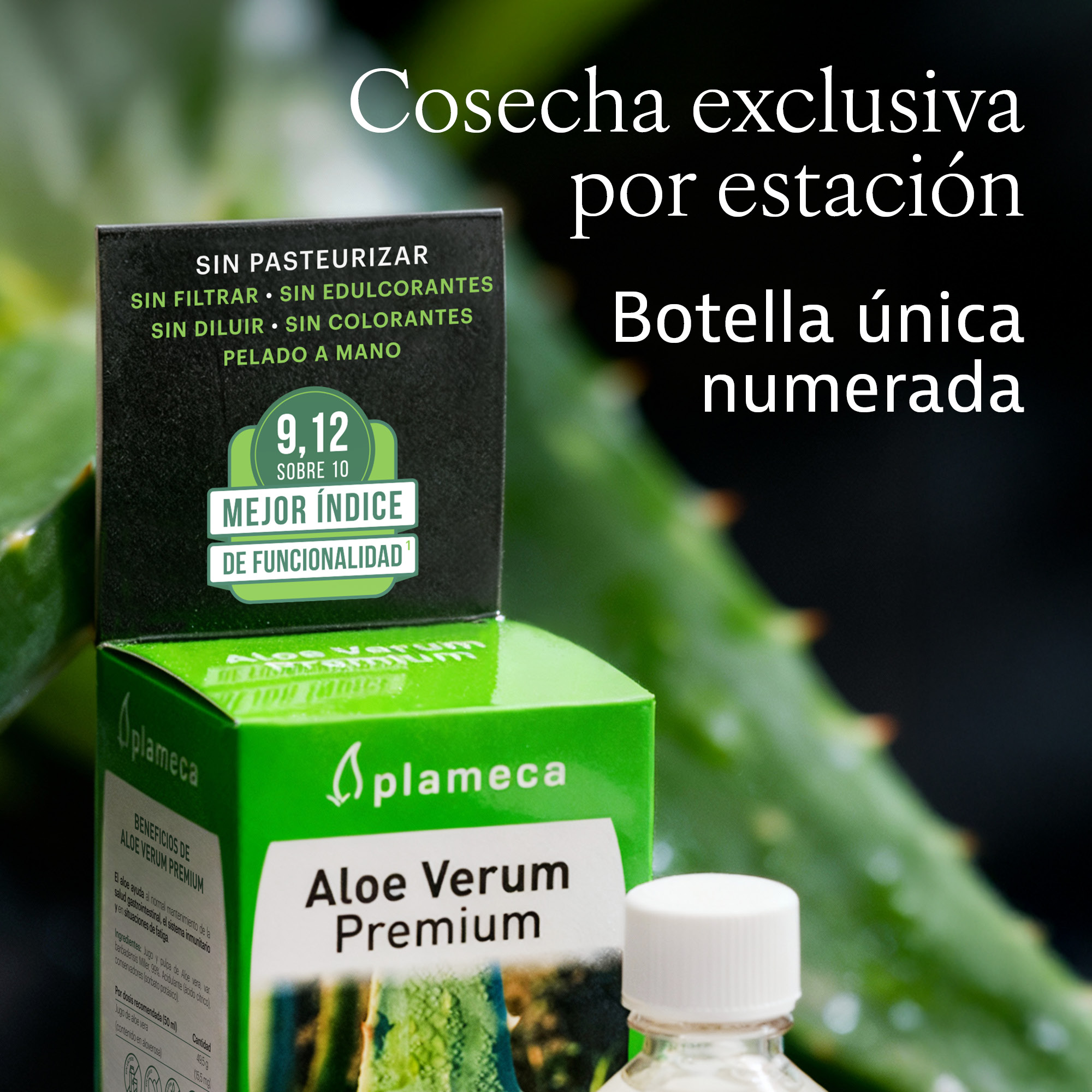 Aloe Vera Premium