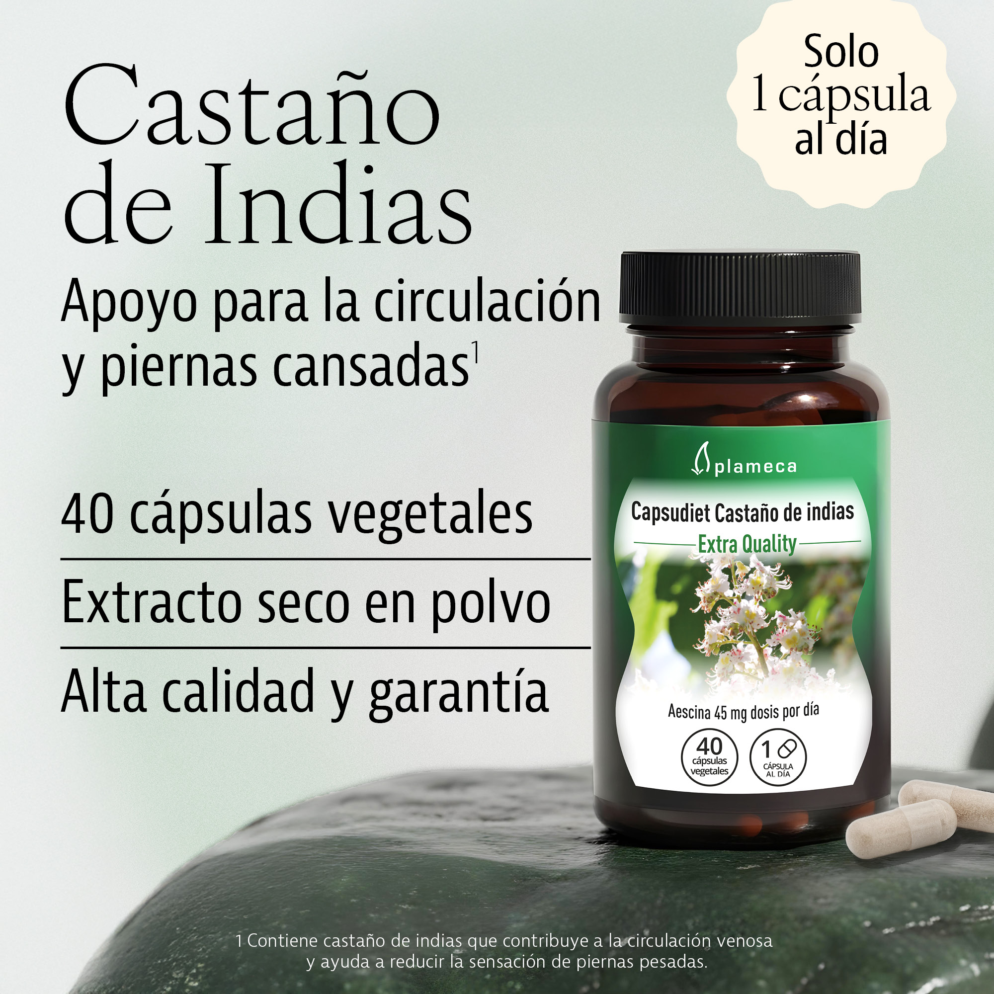 Capsudiet Horse chestnut