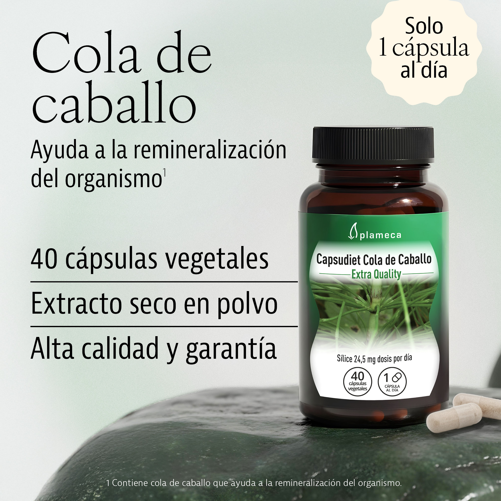 Capsudiet Horsetail