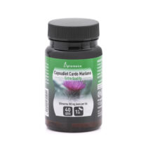 Photography Capsudiet Milk Thistle