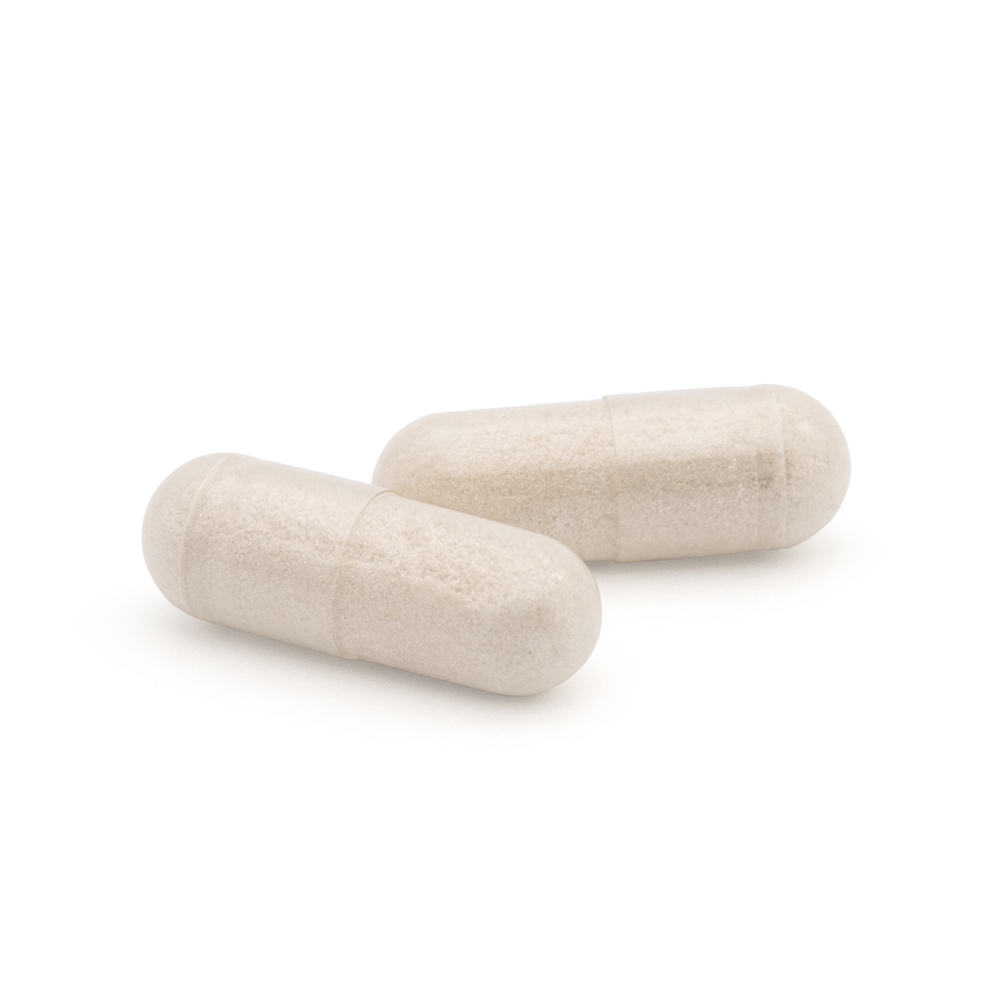 Capsudiet Castanyer d'Índies