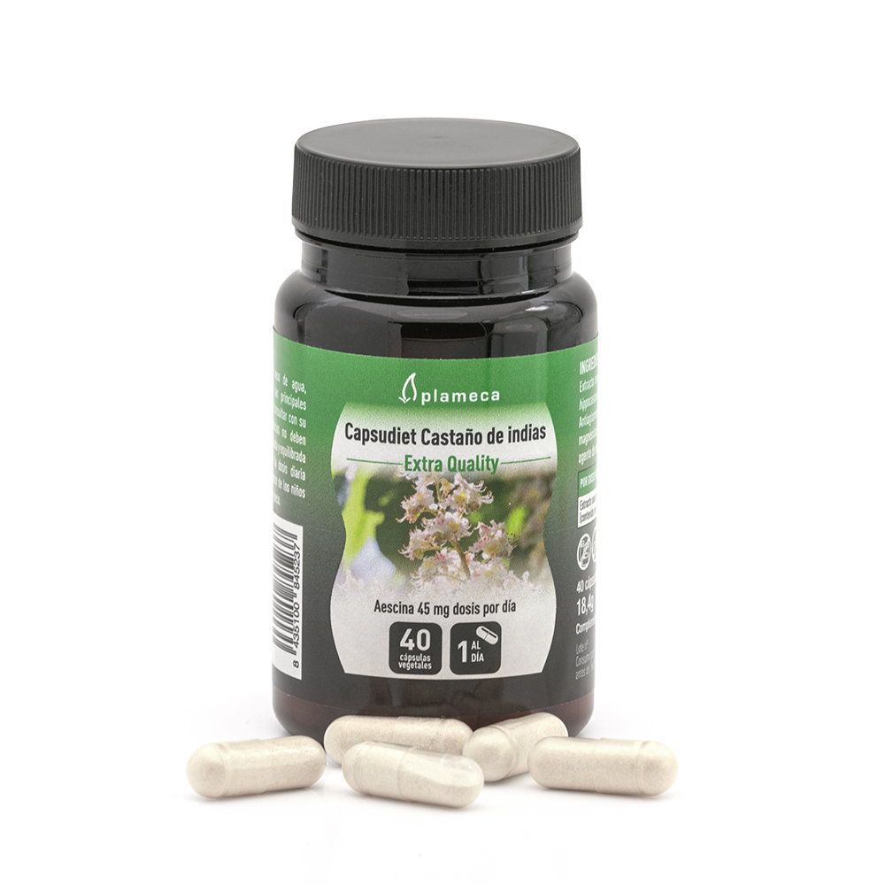 Capsudiet Castanyer d'Índies