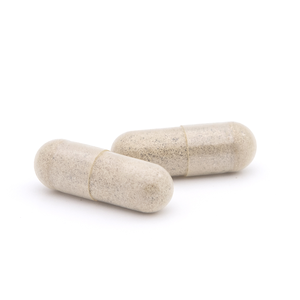 Capsudiet Ginkgo Biloba