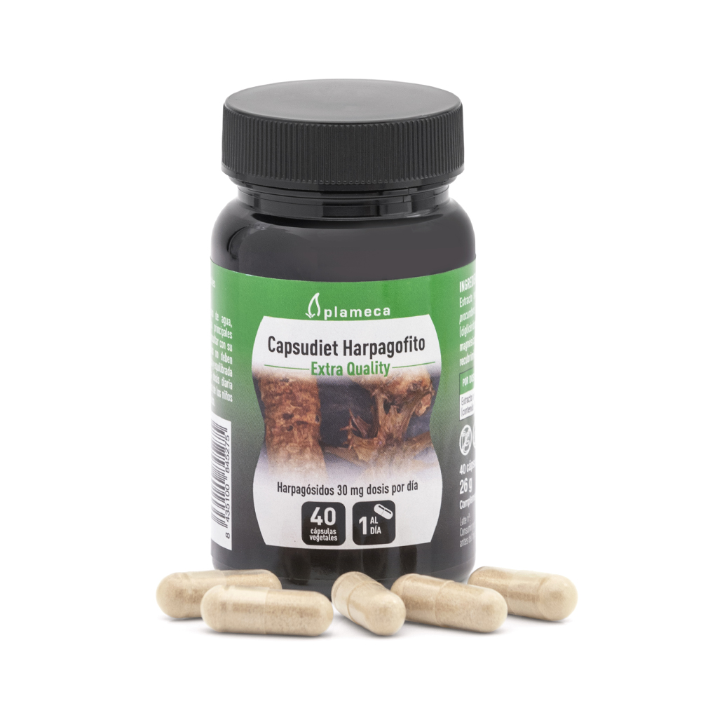 Griffe du diable Capsudiet