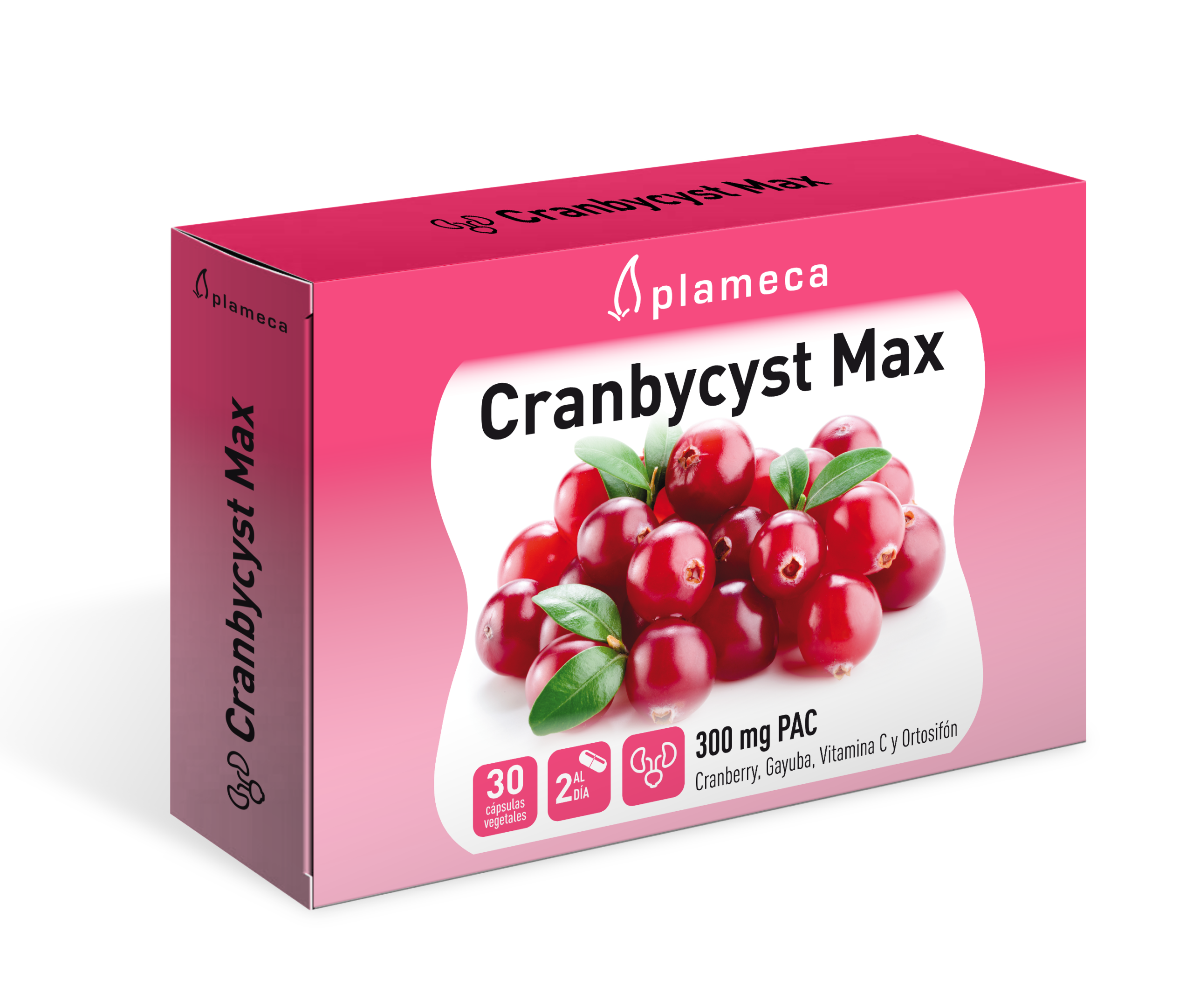 Cranbycyst Max