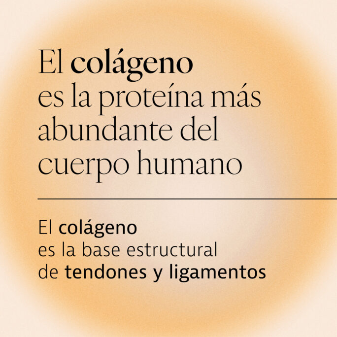 Curarti Colagtium