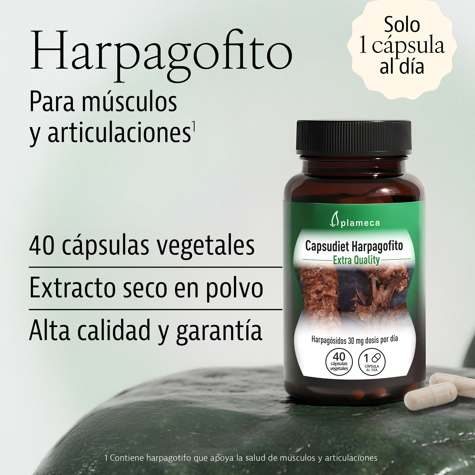 Capsudiet Harpagofito