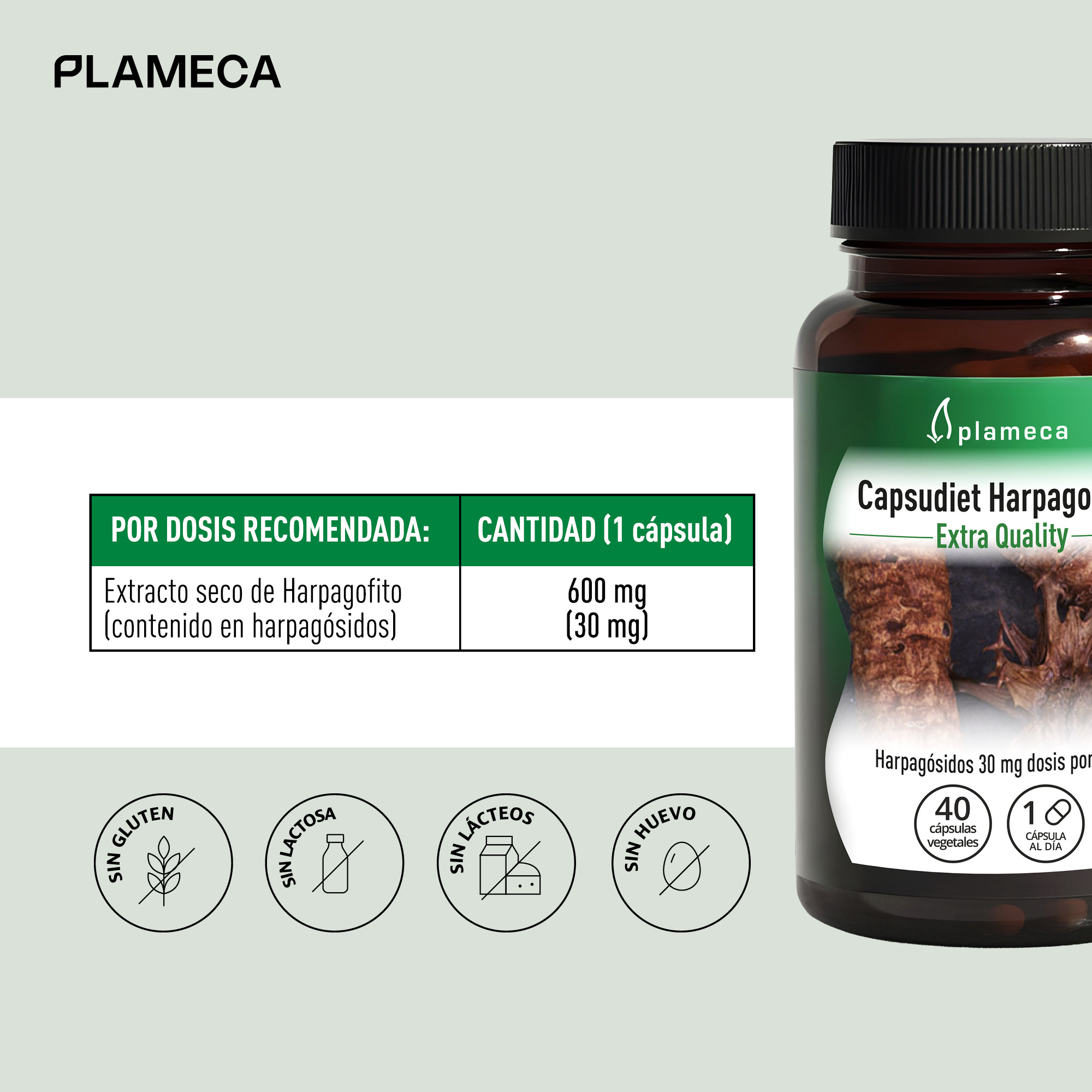 Capsudiet Harpagofito