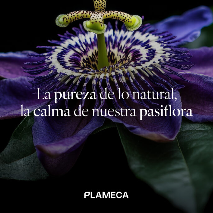 Estratto di Passiflora