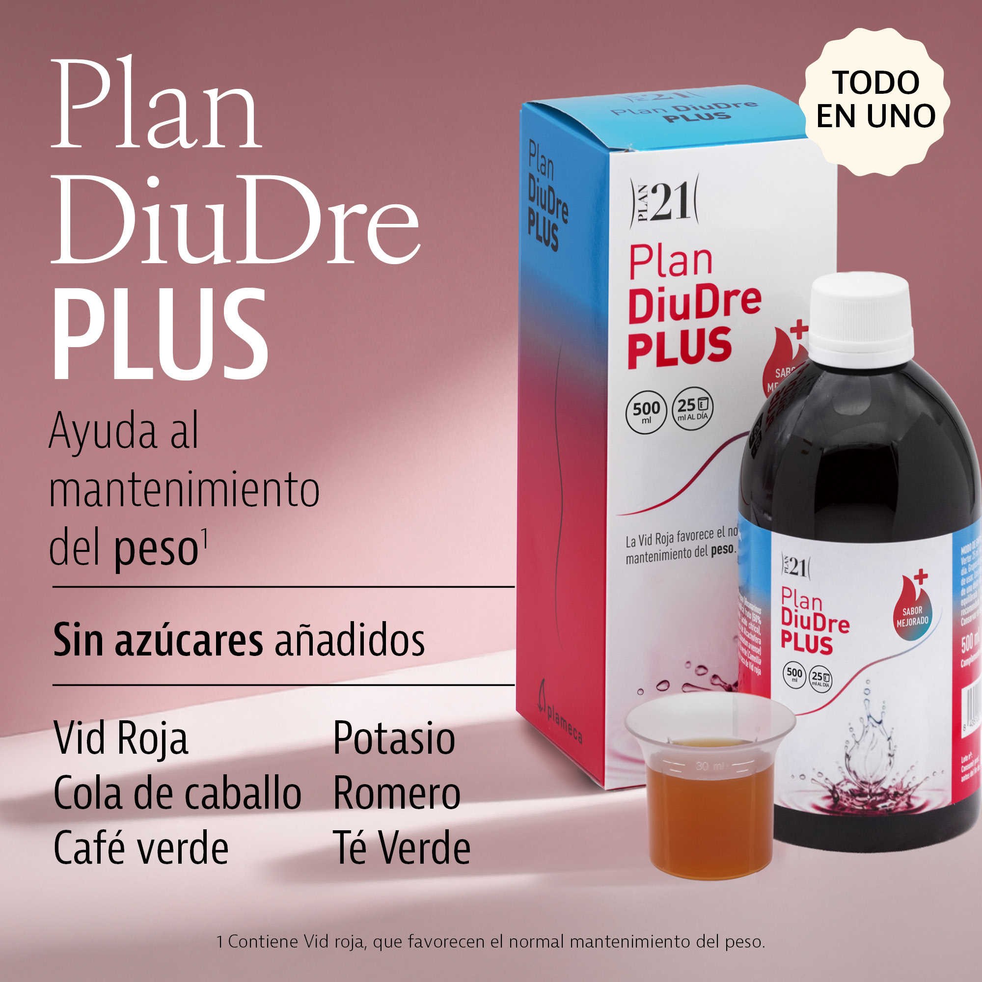 Piano DiuDre Plus