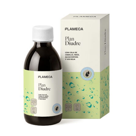 Plan DiuDre_