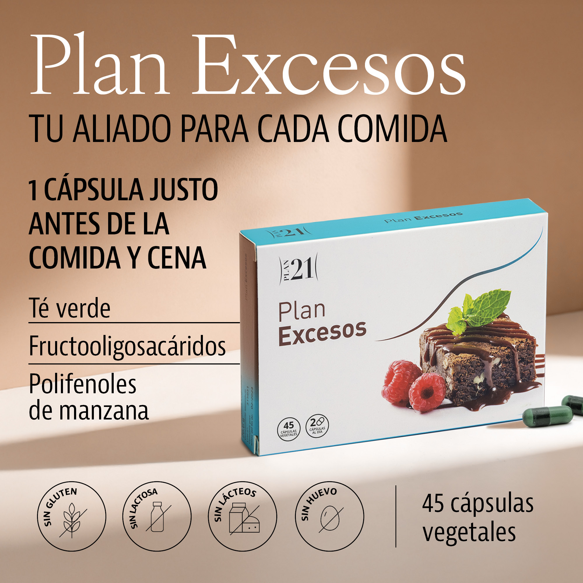 Plan Excesos