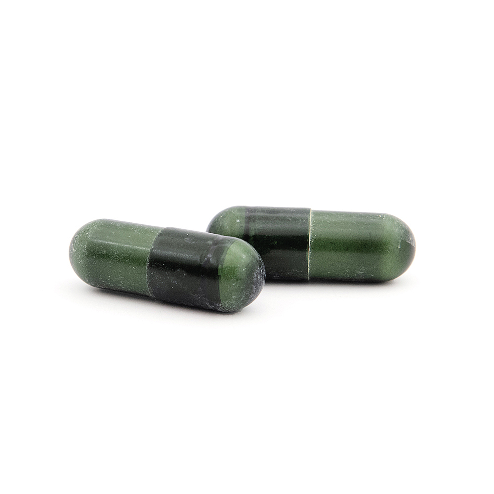 Plan Garcinia Activ 40+