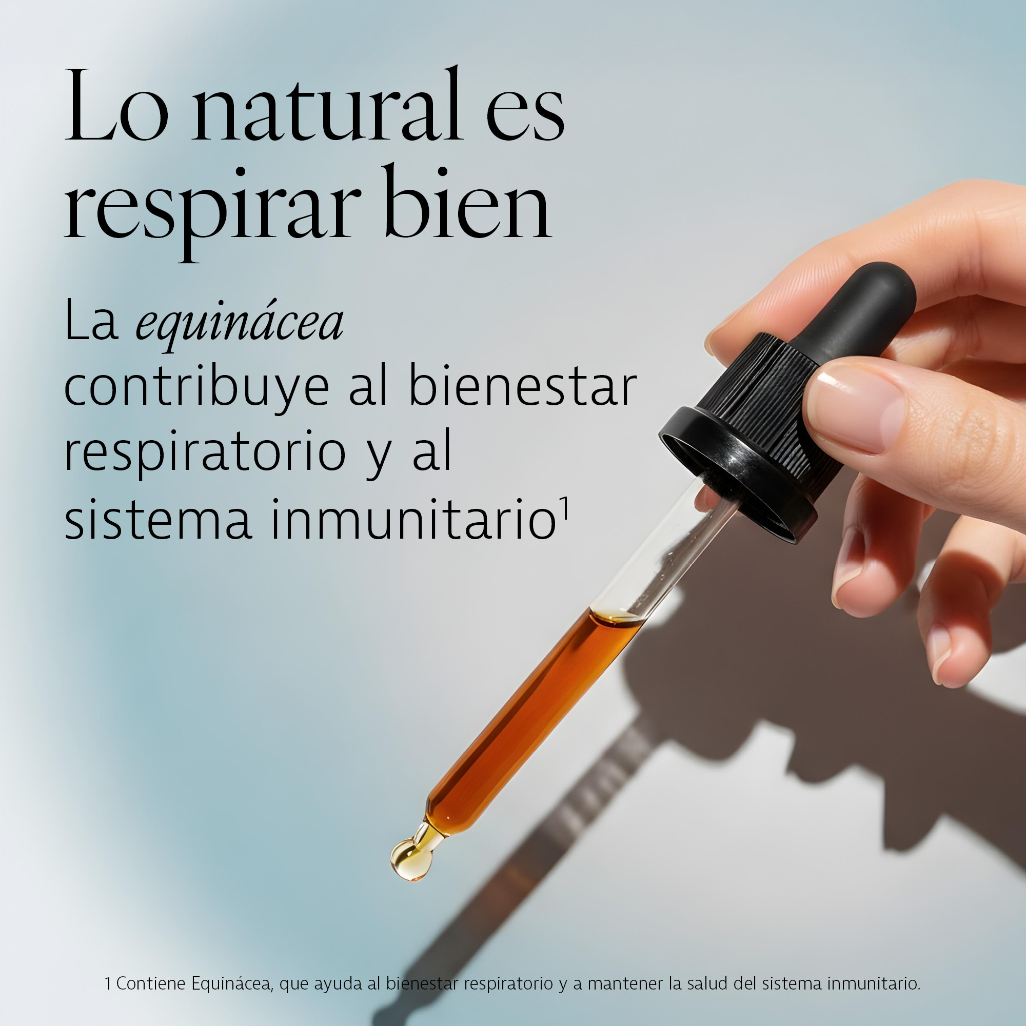 Protecció de l'equinàcia