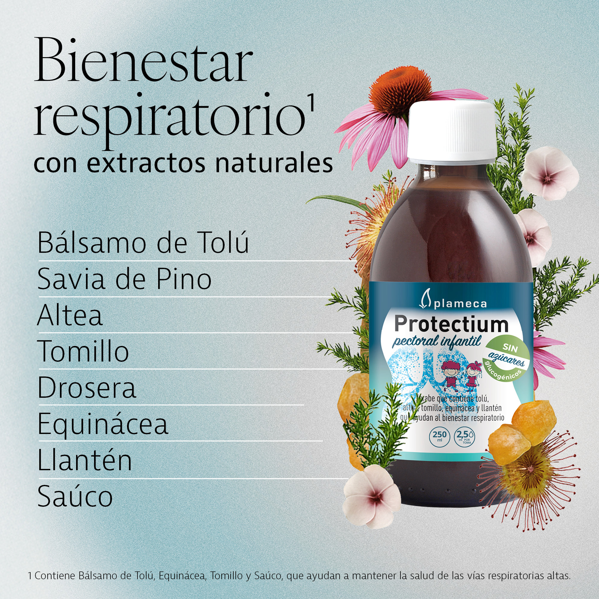 Protectium Pectoral Infantil