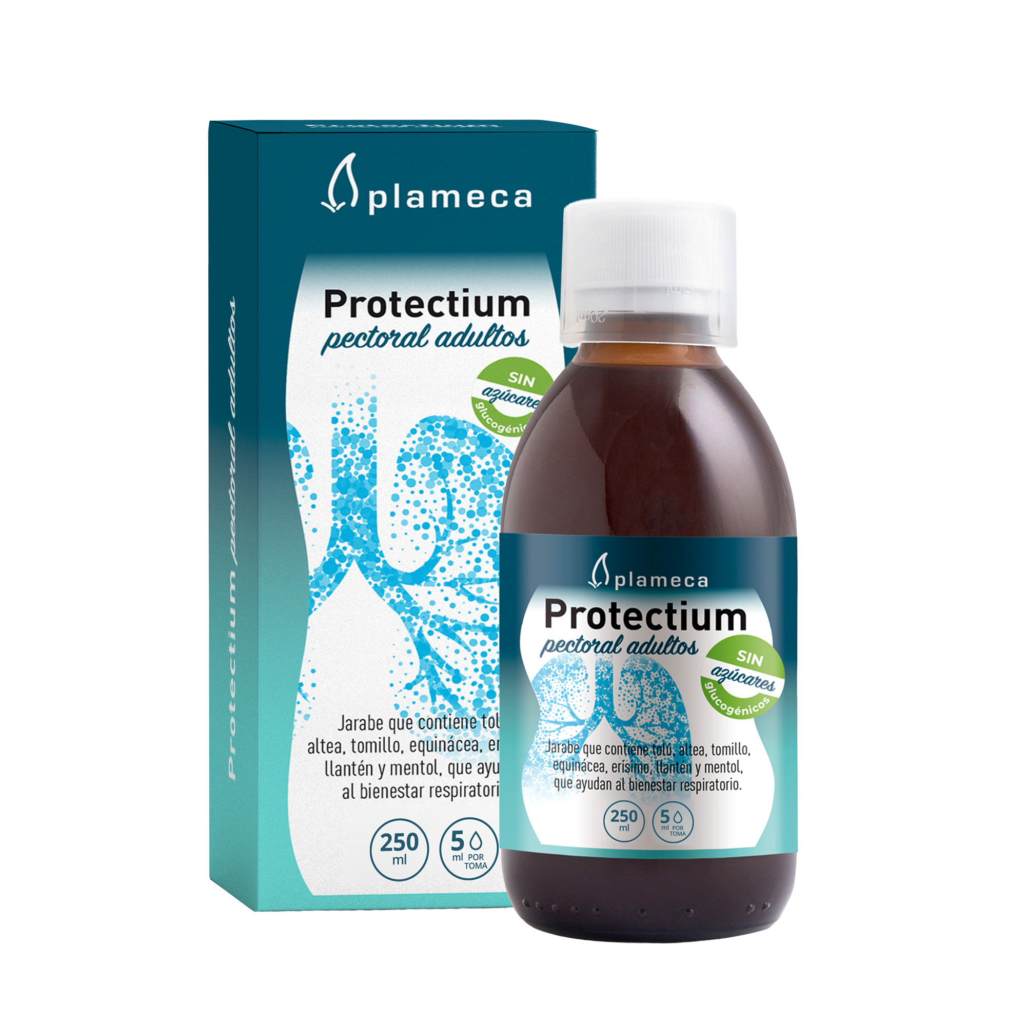 Protectium_pectoral_adultos