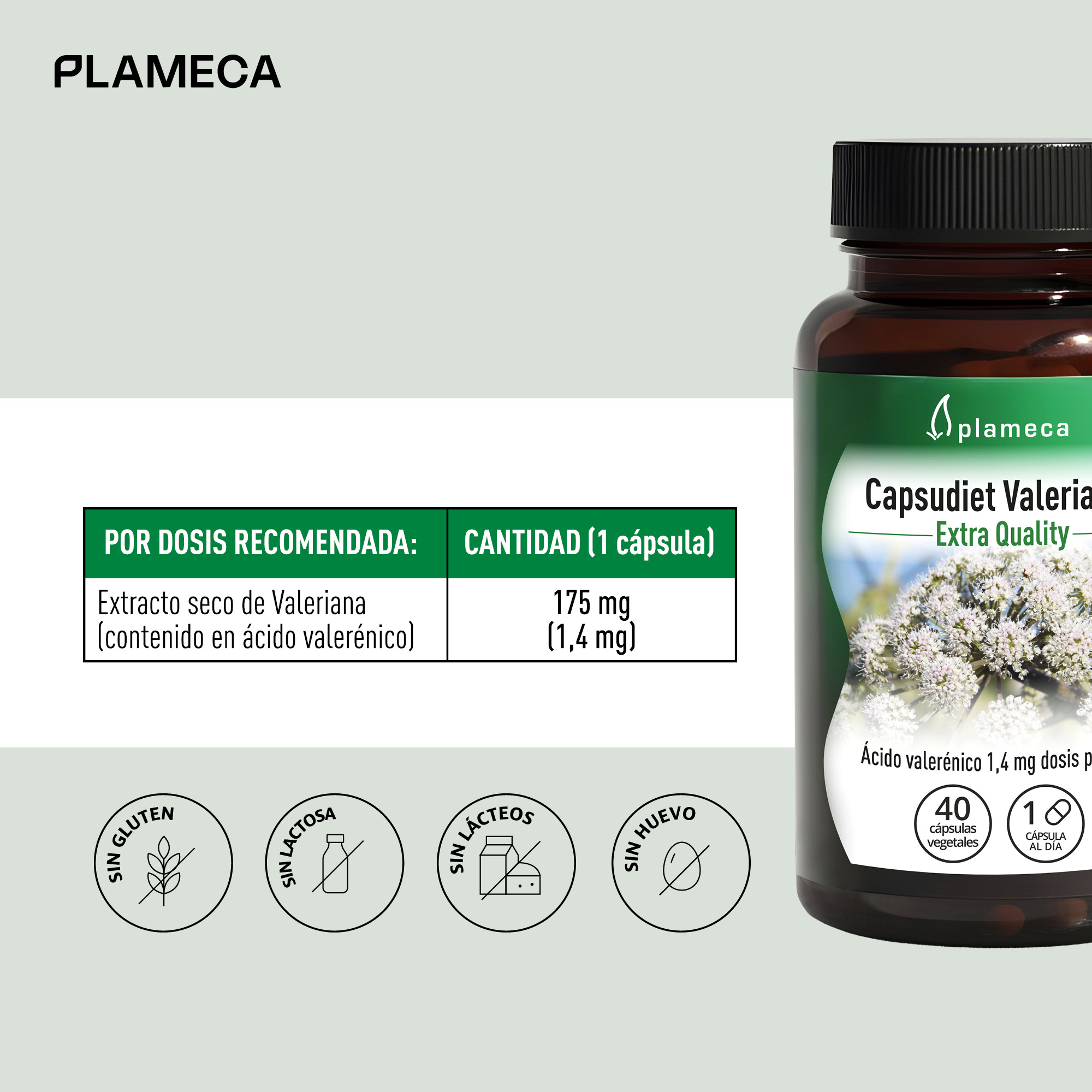 Capsudiet Valerian