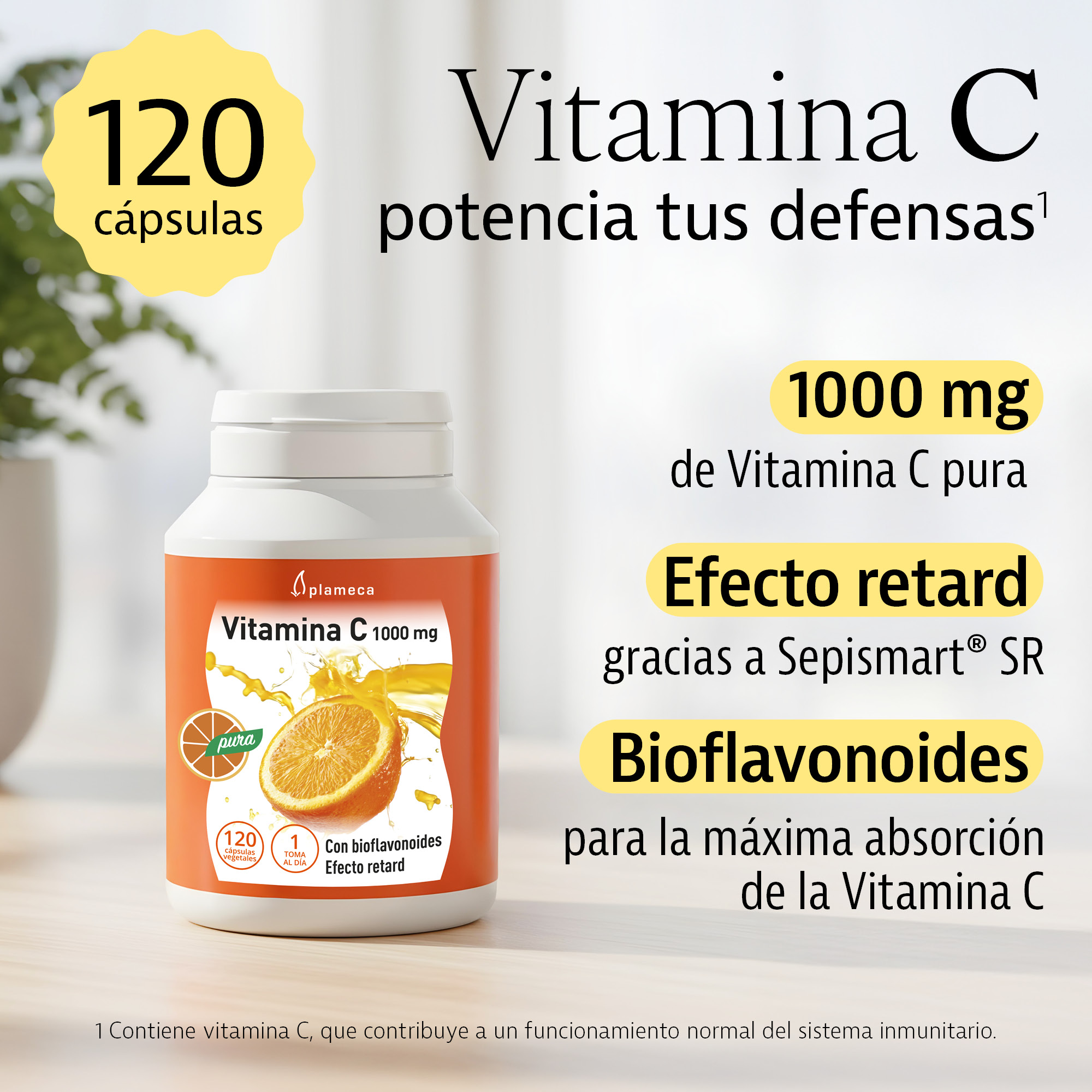 Vitamina C 1.000 mg