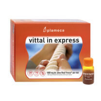 Vittal-in-express