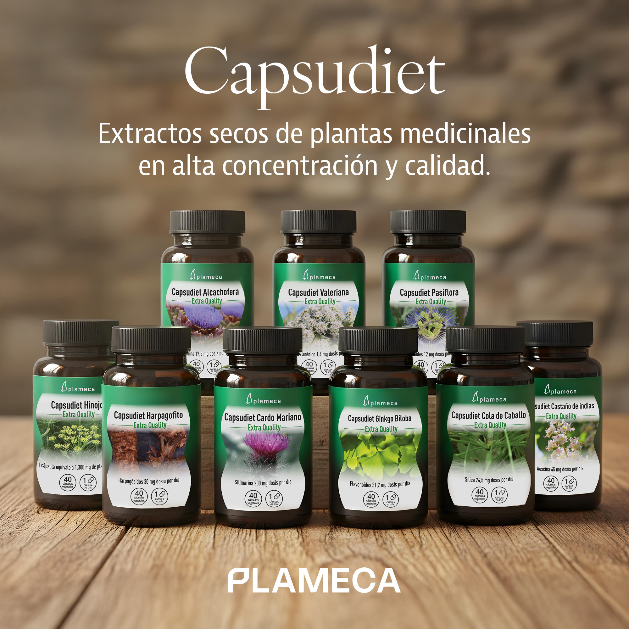 Capsudiet Harpagofito