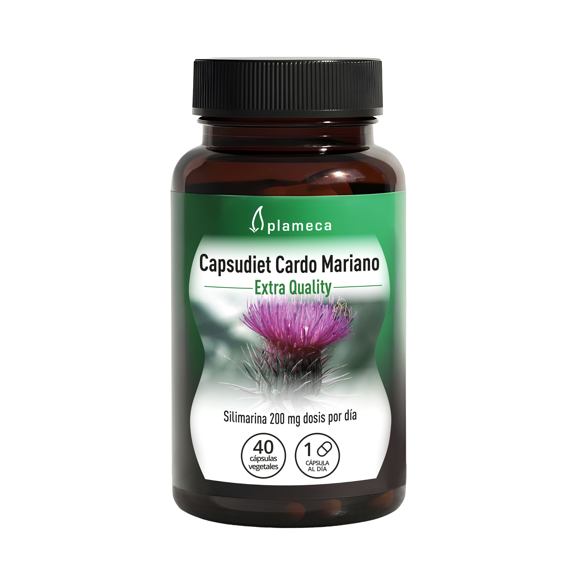 Extracto seco cardomariano