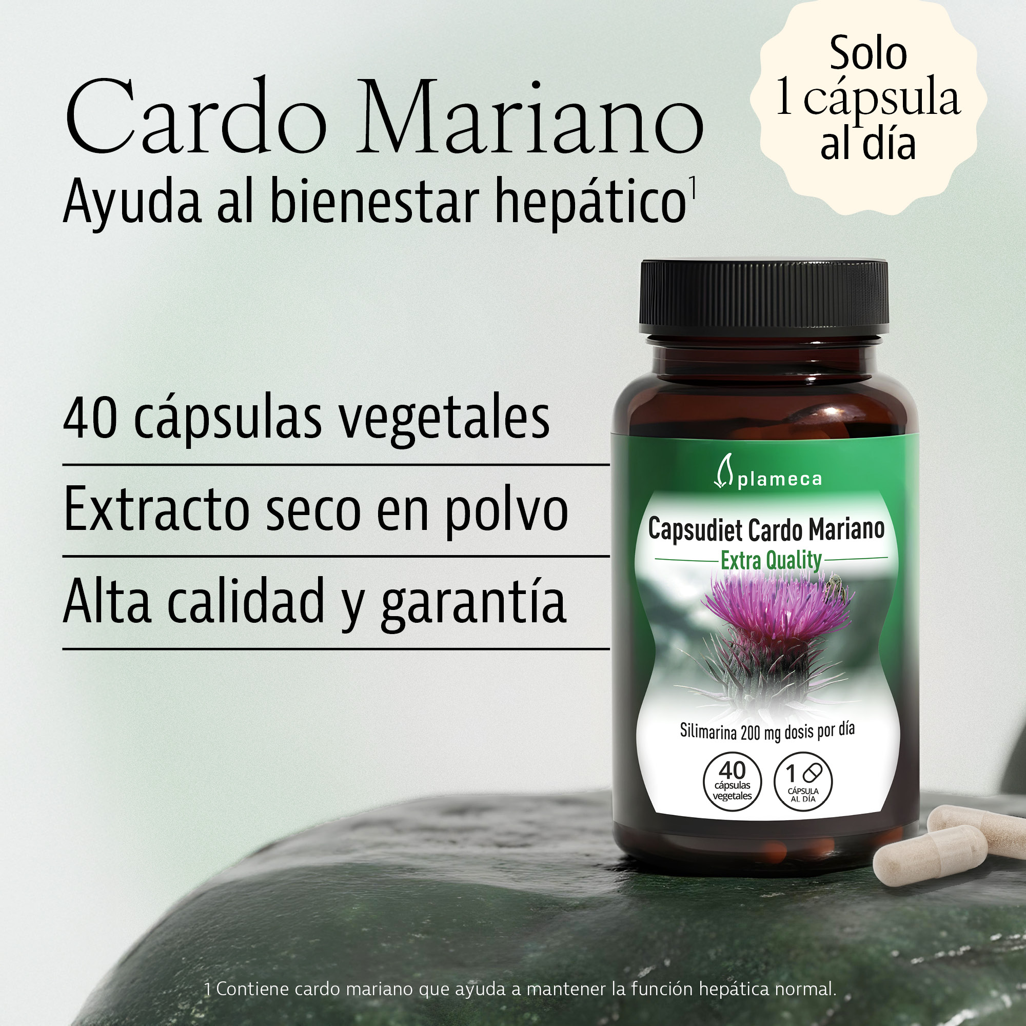 Capsudiet Milk Thistle