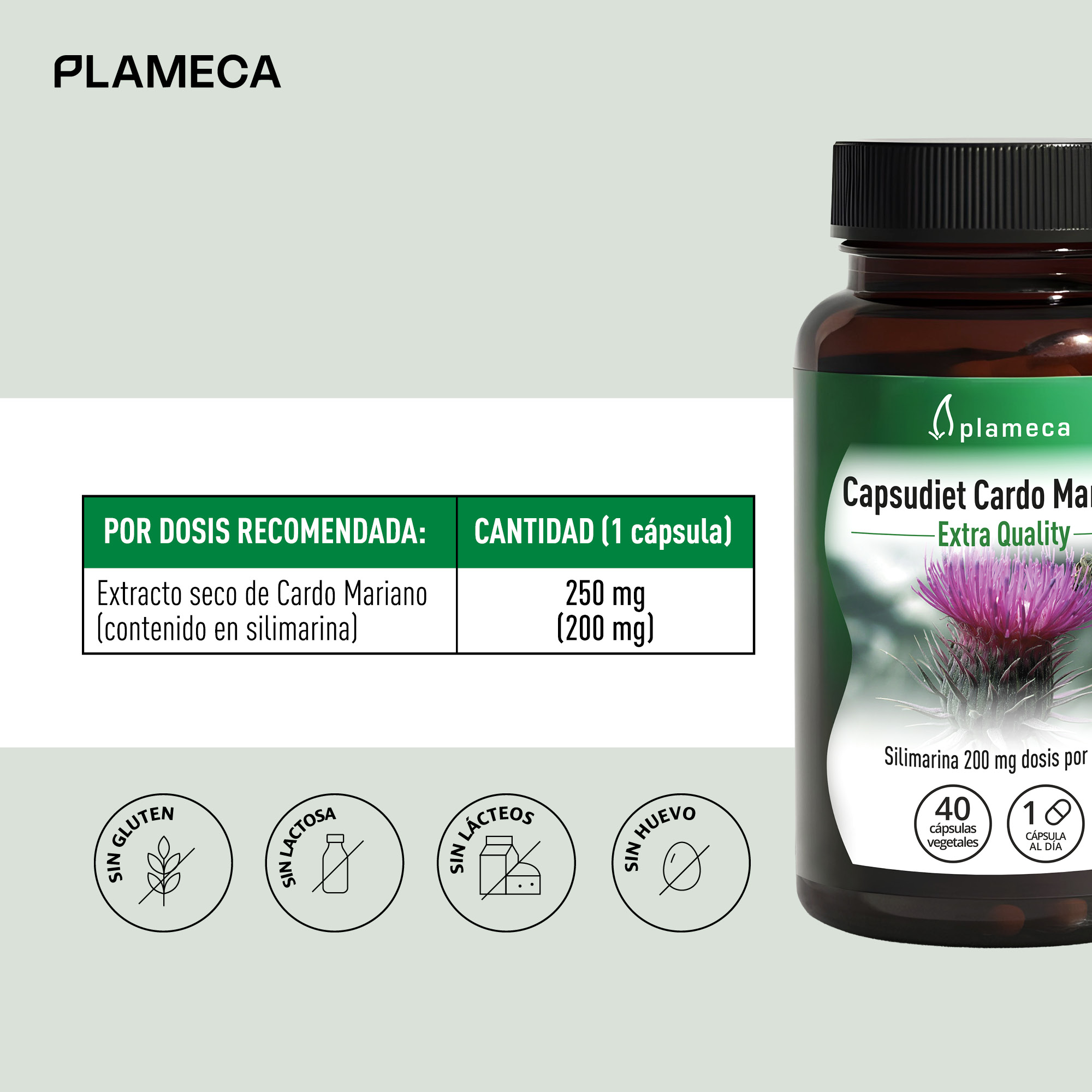 Capsudiet Milk Thistle