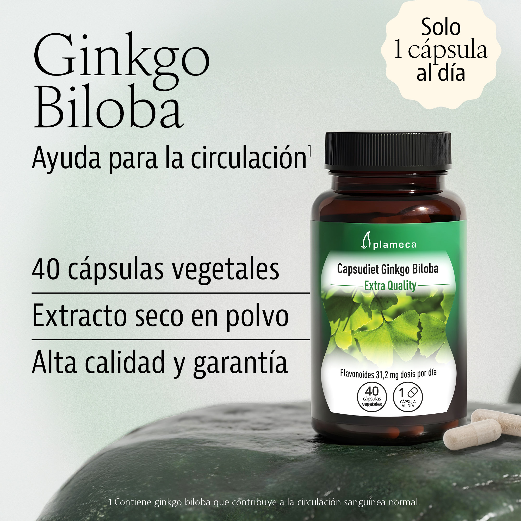 Capsudiet Ginkgo Biloba