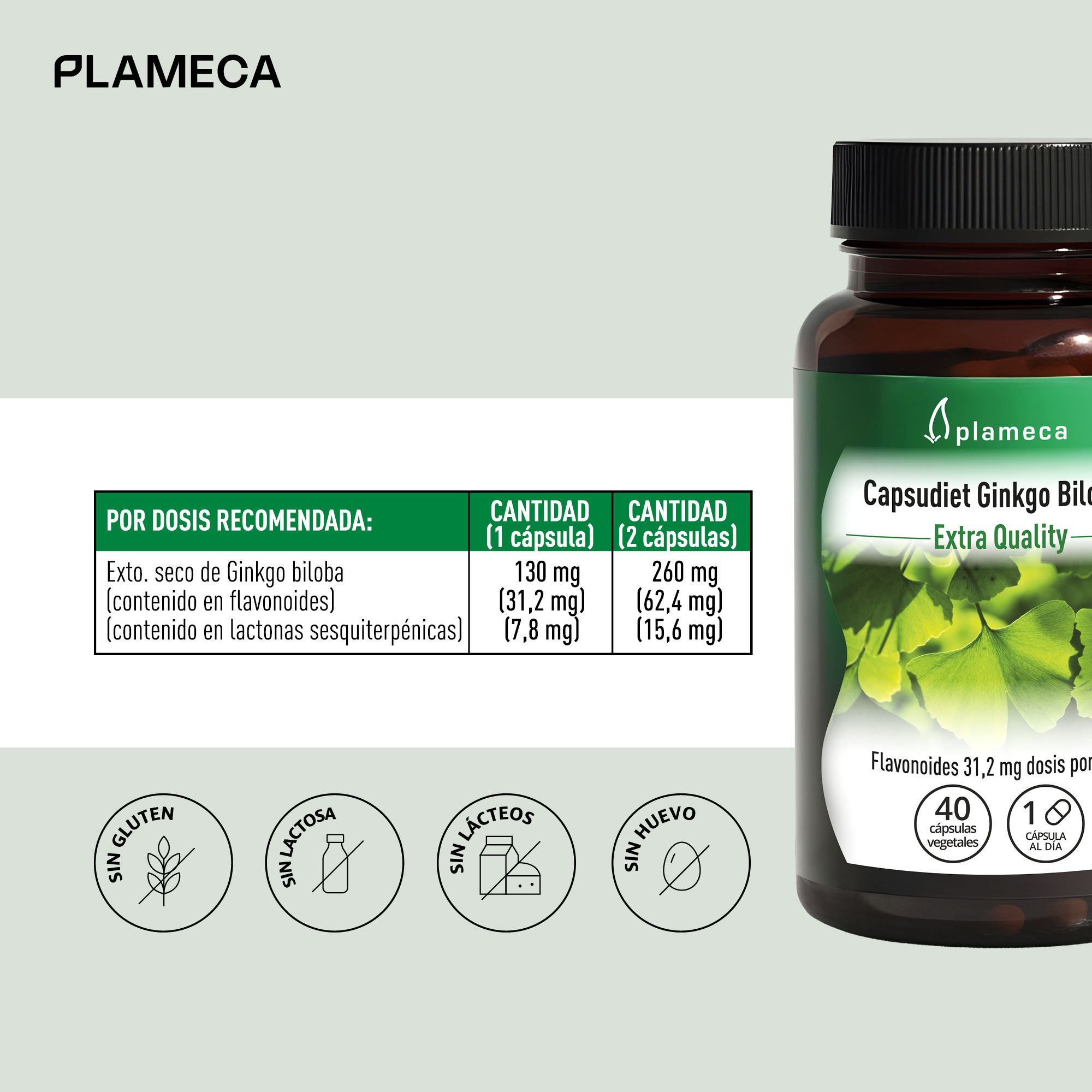 Capsudiet Ginkgo Biloba