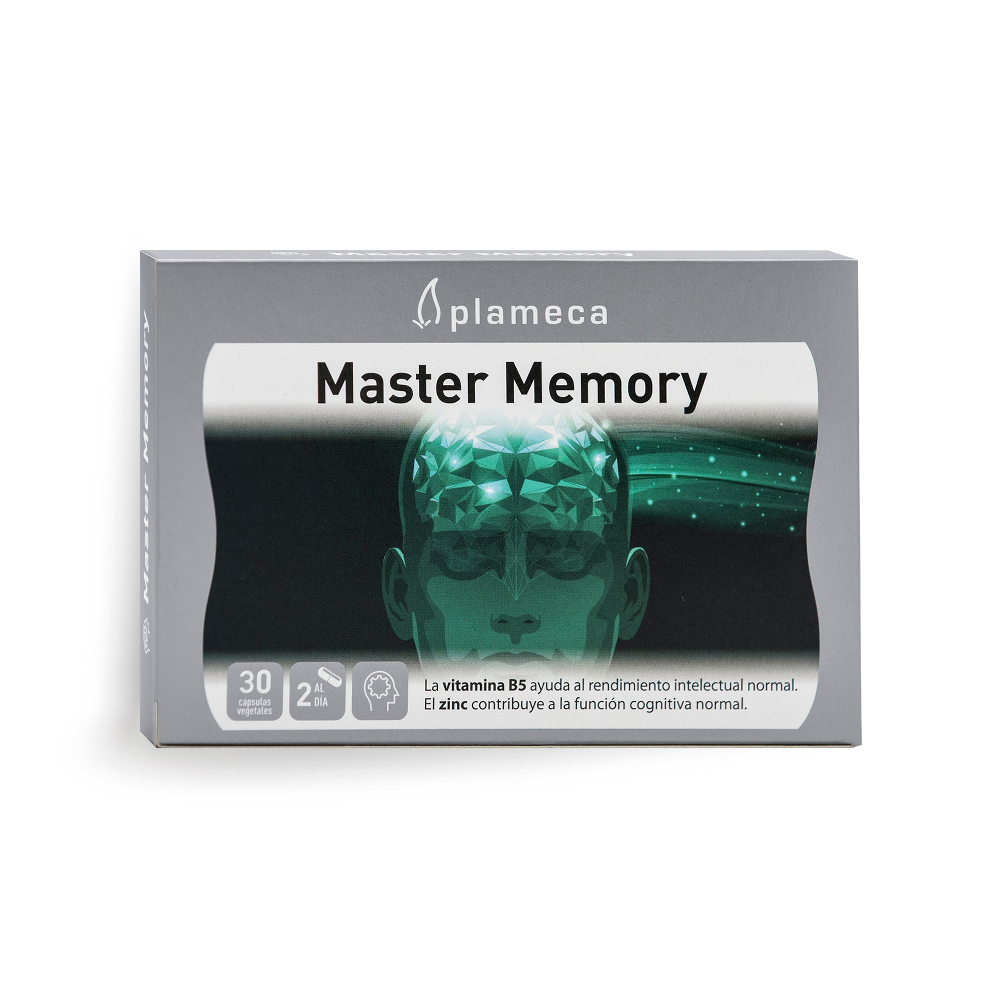 Master_memory