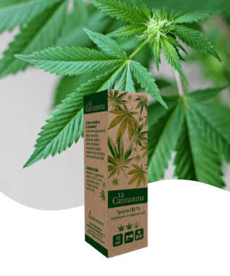 CBD