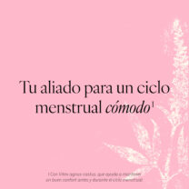 Tu aliado para un ciclo