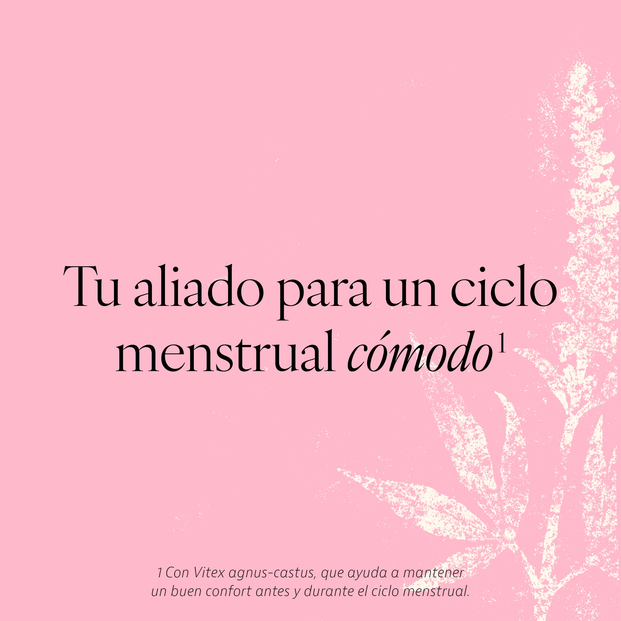 Tu aliado para un ciclo