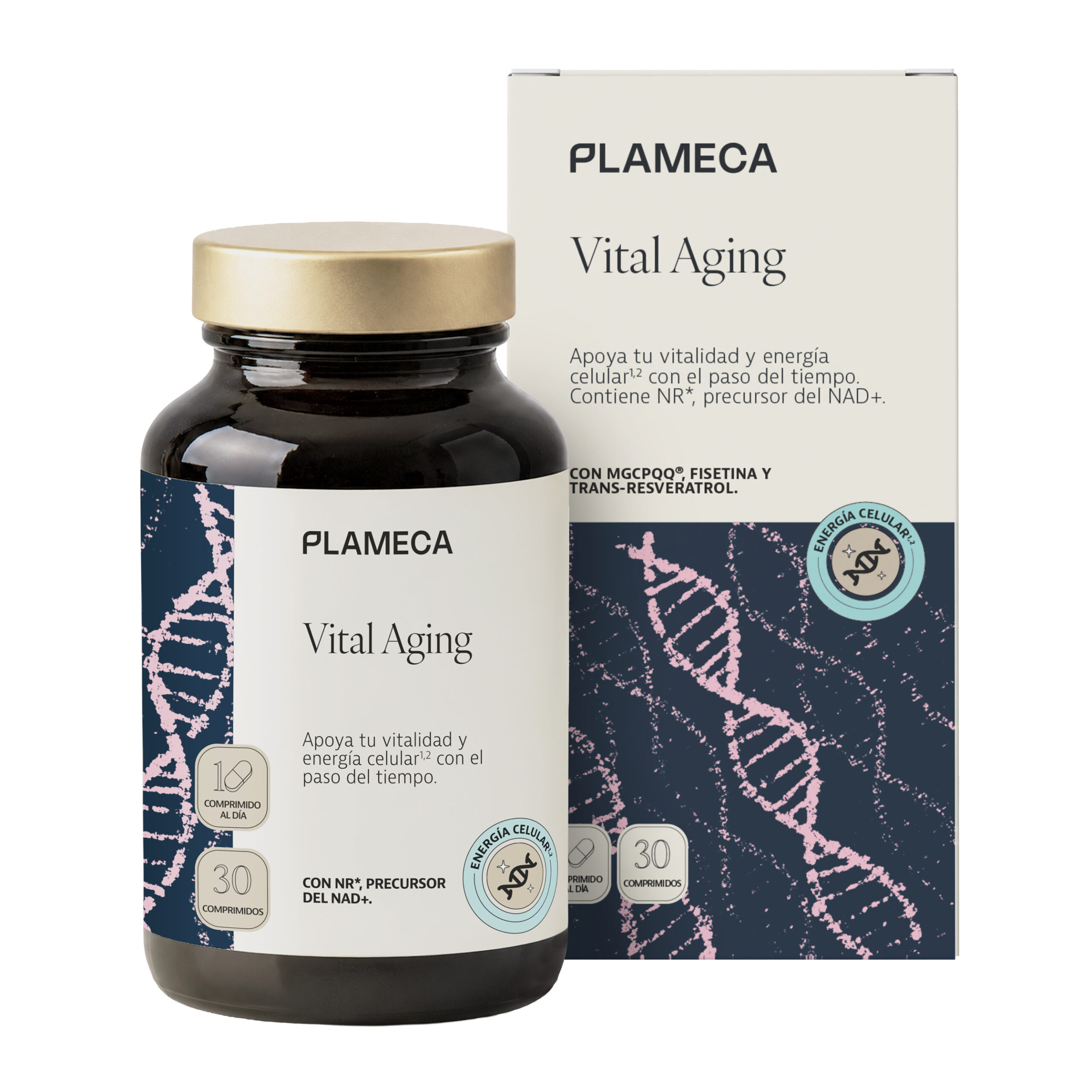 Vital_aging