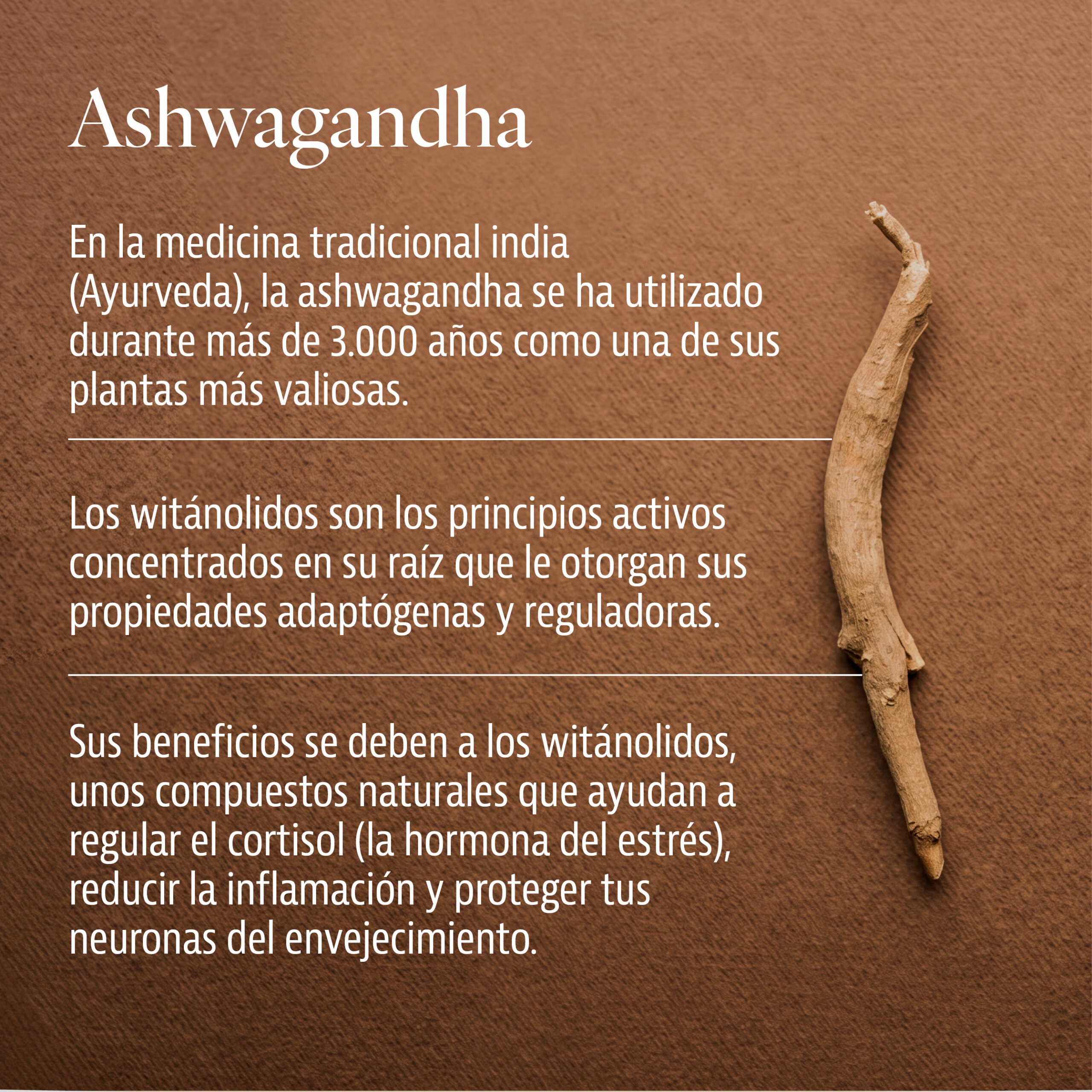 Ashwagandha