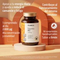 Vitamina_B12