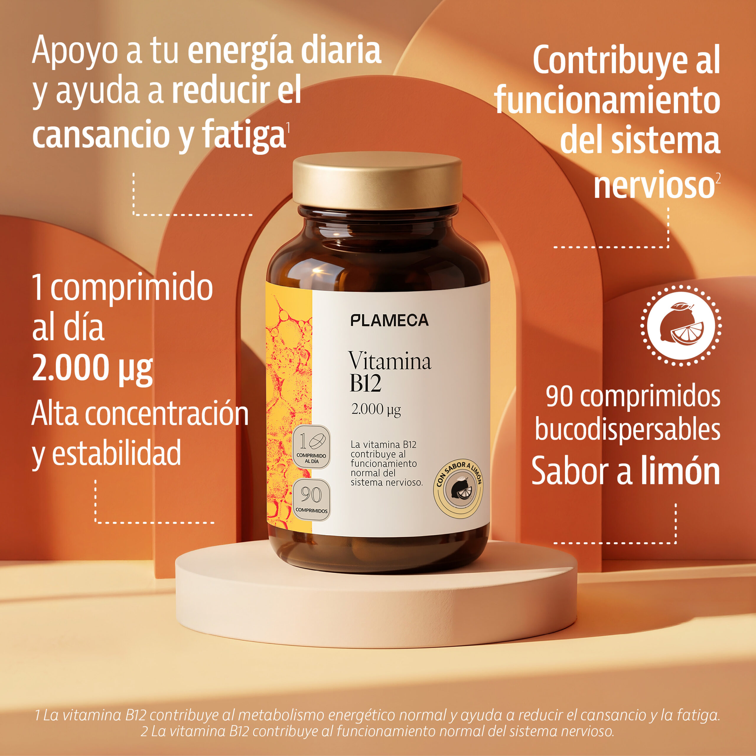 Vitamina_B12