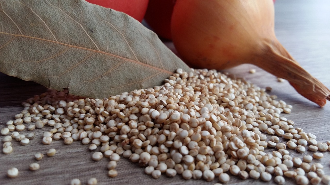 plameca receta quinoa 1