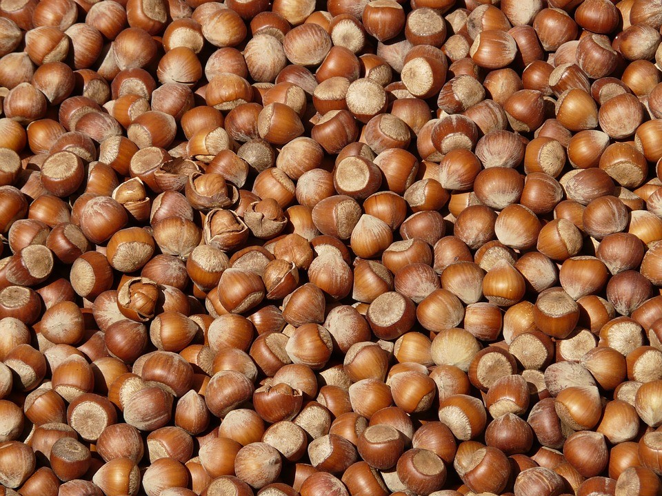 frutos 2